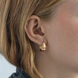 Timi of Sweden - Classic Wide Hoop Earring Gold